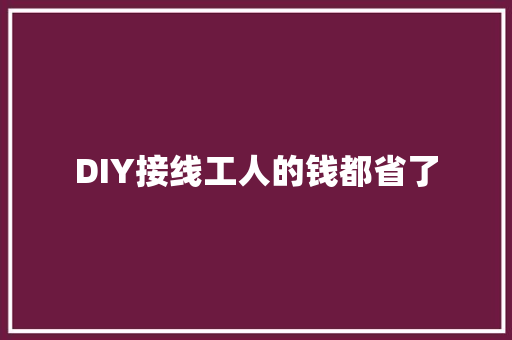 DIY接线工人的钱都省了
