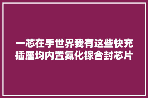一芯在手世界我有这些快充插座均内置氮化镓合封芯片