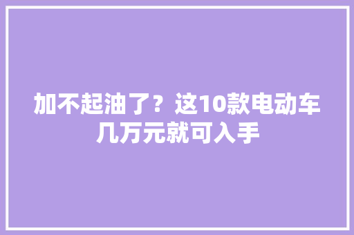 加不起油了？这10款电动车几万元就可入手