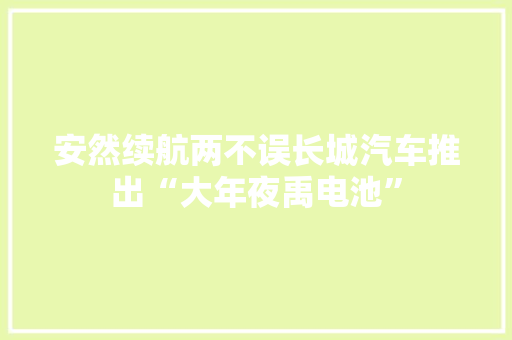 安然续航两不误长城汽车推出“大年夜禹电池”