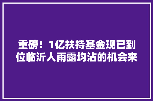重磅！1亿扶持基金现已到位临沂人雨露均沾的机会来了！