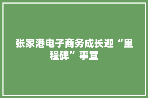 张家港电子商务成长迎“里程碑”事宜