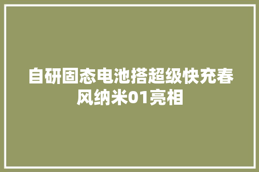 自研固态电池搭超级快充春风纳米01亮相
