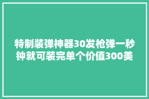 特制装弹神器30发枪弹一秒钟就可装完单个价值300美元