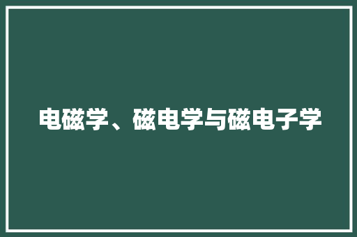 电磁学、磁电学与磁电子学