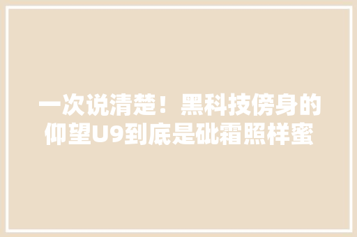 一次说清楚！黑科技傍身的仰望U9到底是砒霜照样蜜糖？