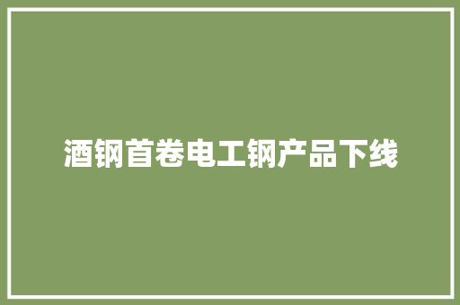 酒钢首卷电工钢产品下线 酒钢首卷电工钢产品下线 互联通信