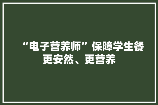 “电子营养师”保障学生餐更安然、更营养