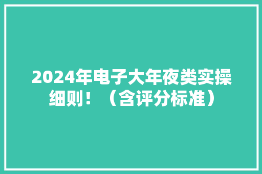 2024年电子大年夜类实操细则！（含评分标准）