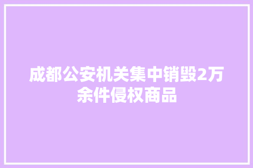 成都公安机关集中销毁2万余件侵权商品