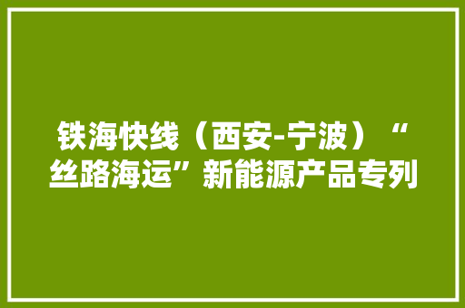 铁海快线（西安-宁波）“丝路海运”新能源产品专列开行