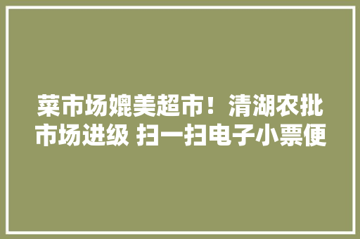 菜市场媲美超市！清湖农批市场进级 扫一扫电子小票便可溯源