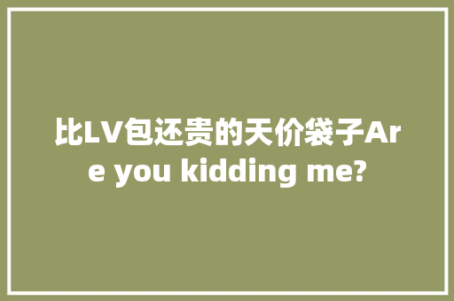 比LV包还贵的天价袋子Are you kidding me?