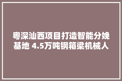 粤深汕西项目打造智能分娩基地 4.5万吨钢箱梁机械人制造