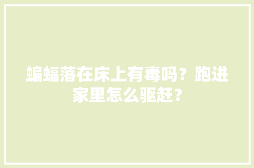 蝙蝠落在床上有毒吗？跑进家里怎么驱赶？,蝙蝠app。