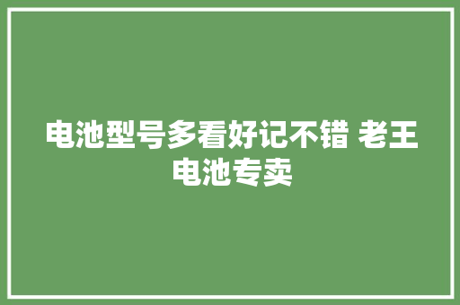 电池型号多看好记不错 老王电池专卖
