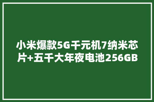小米爆款5G千元机7纳米芯片+五千大年夜电池256GB版本仅1399元