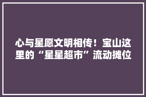 心与星愿文明相传！宝山这里的“星星超市”流动摊位开展义卖 心与星愿文明相传！宝山这里的“星星超市”流动摊位开展义卖 智能科技
