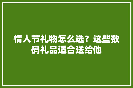 情人节礼物怎么选？这些数码礼品适合送给他