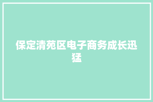 保定清苑区电子商务成长迅猛