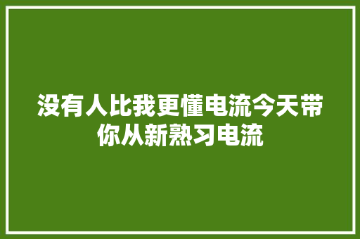 没有人比我更懂电流今天带你从新熟习电流