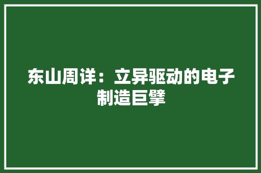 东山周详：立异驱动的电子制造巨擘