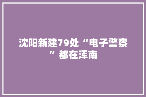 沈阳新建79处“电子警察”都在浑南
