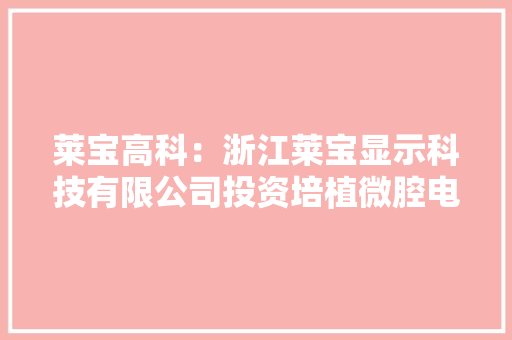 莱宝高科：浙江莱宝显示科技有限公司投资培植微腔电子纸显示器件项目产品制作精度为几微米的级别