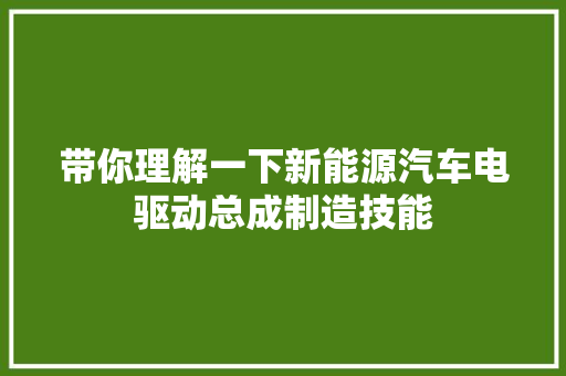 带你理解一下新能源汽车电驱动总成制造技能