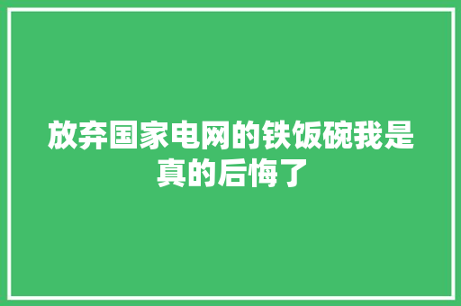 放弃国家电网的铁饭碗我是真的后悔了 放弃国家电网的铁饭碗我是真的后悔了 智能科技