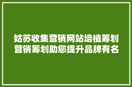 姑苏收集营销网站培植筹划营销筹划助您提升品牌有名度