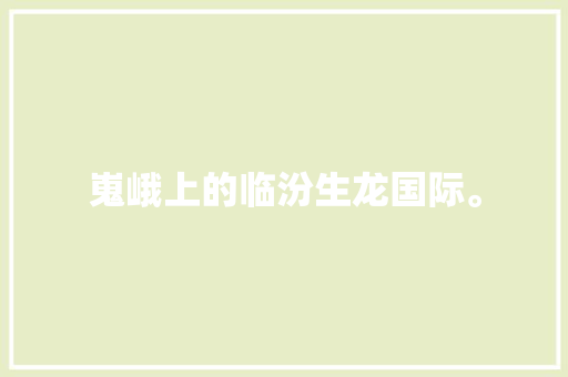 嵬峨上的临汾生龙国际。