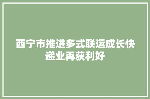 西宁市推进多式联运成长快递业再获利好