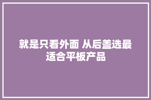 就是只看外面 从后盖选最适合平板产品