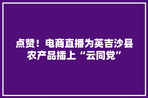 点赞！电商直播为英吉沙县农产品插上“云同党”