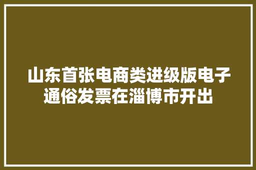 山东首张电商类进级版电子通俗发票在淄博市开出
