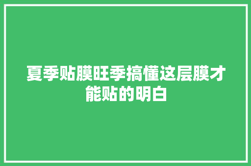 夏季贴膜旺季搞懂这层膜才能贴的明白 夏季贴膜旺季搞懂这层膜才能贴的明白 人工智能