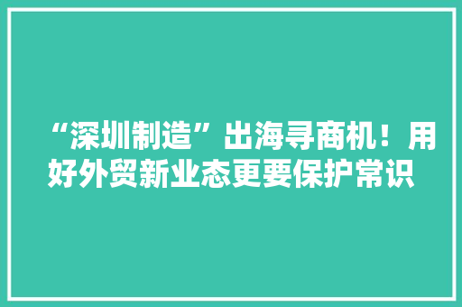 “深圳制造”出海寻商机！用好外贸新业态更要保护常识产权,跨境电商有哪些平台可以做。