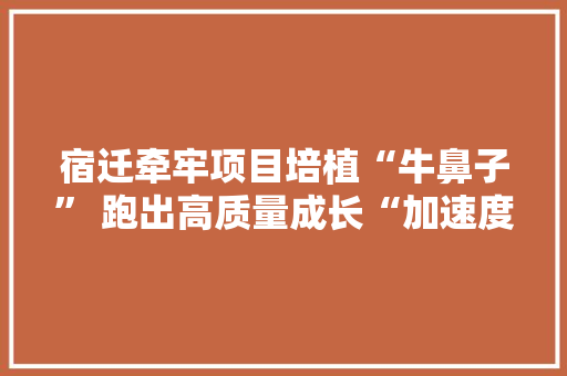 宿迁牵牢项目培植“牛鼻子” 跑出高质量成长“加速度”,宿迁律师事务所。