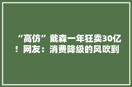 “高仿”戴森一年狂卖30亿！网友：消费降级的风吹到了家电界