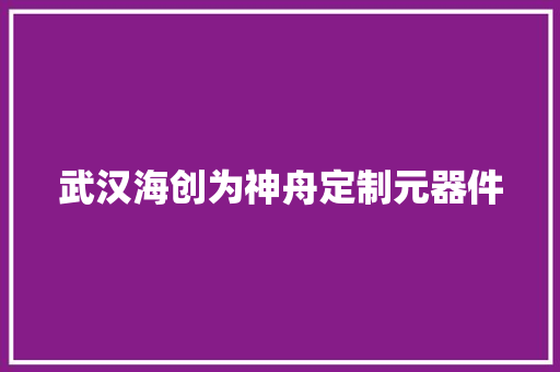 武汉海创为神舟定制元器件