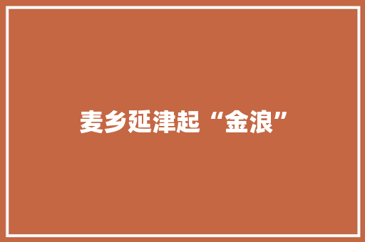 麦乡延津起“金浪”