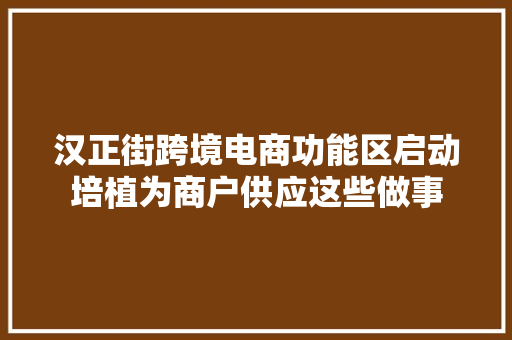 汉正街跨境电商功能区启动培植为商户供应这些做事