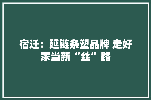 宿迁：延链条塑品牌 走好家当新“丝”路