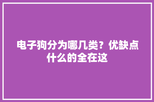 电子狗分为哪几类？优缺点什么的全在这