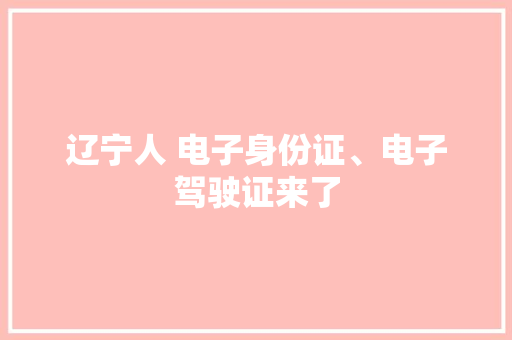 辽宁人 电子身份证、电子驾驶证来了