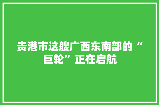 贵港市这艘广西东南部的“巨轮”正在启航