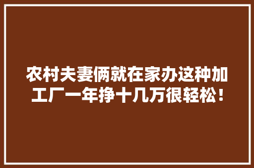 农村夫妻俩就在家办这种加工厂一年挣十几万很轻松！