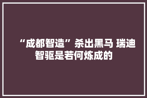 “成都智造”杀出黑马 瑞迪智驱是若何炼成的