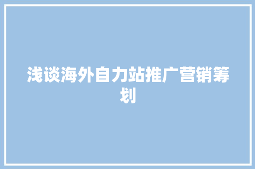浅谈海外自力站推广营销筹划